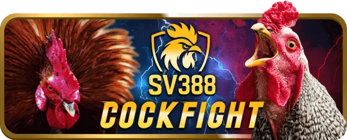 Hoàn trả cược đá gà mb66b win